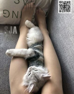 电视剧乡村爱情