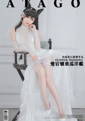 猪不戒